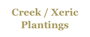 Creek / Xeric / Plantings